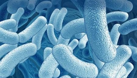 Пробиотики и полезные бактерии при дисбактериозе